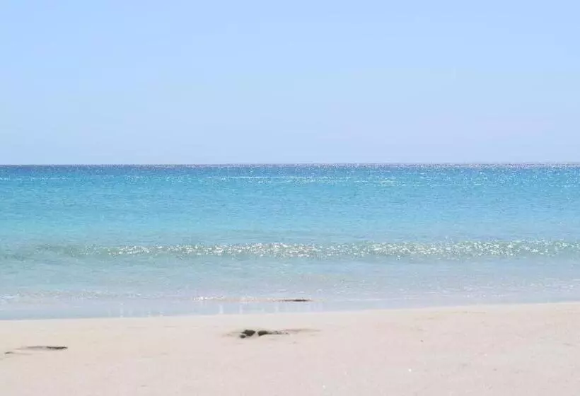 ベッドアンドブレックファースト Eagle Bay House