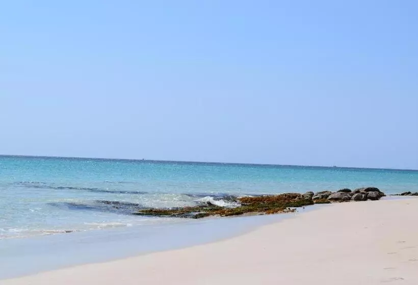 ベッドアンドブレックファースト Eagle Bay House