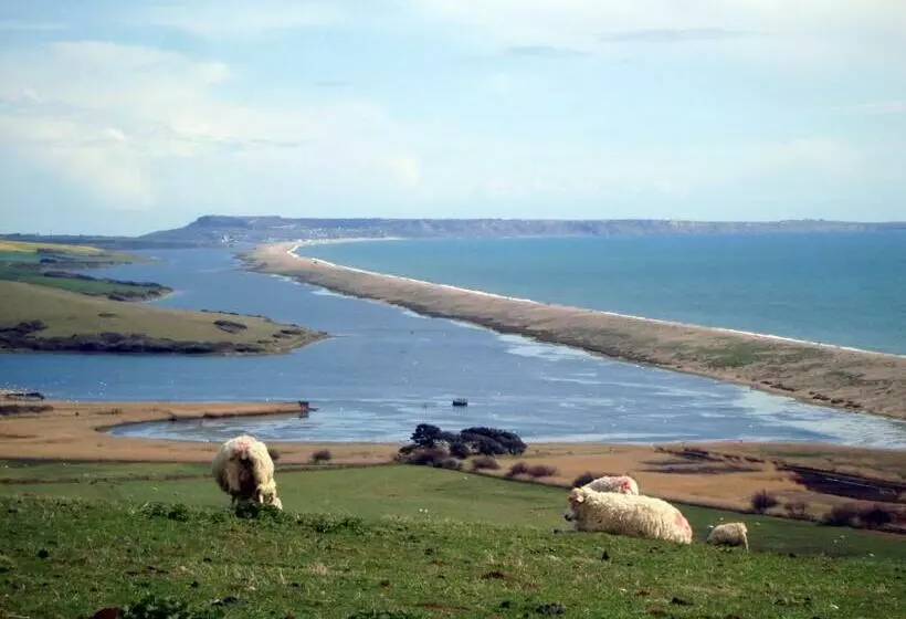 ベッドアンドブレックファースト Seventyseven