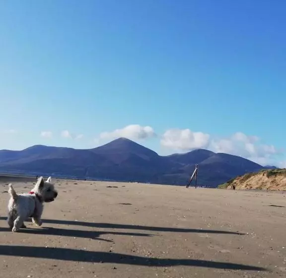 Forest Path Luxury Studio Apartment With Large Bedroom Bathroom And Sauna Sleeps Up To 4