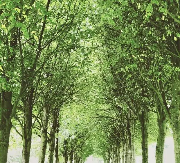 Forest Path Luxury Studio Apartment With Large Bedroom Bathroom And Sauna Sleeps Up To 4