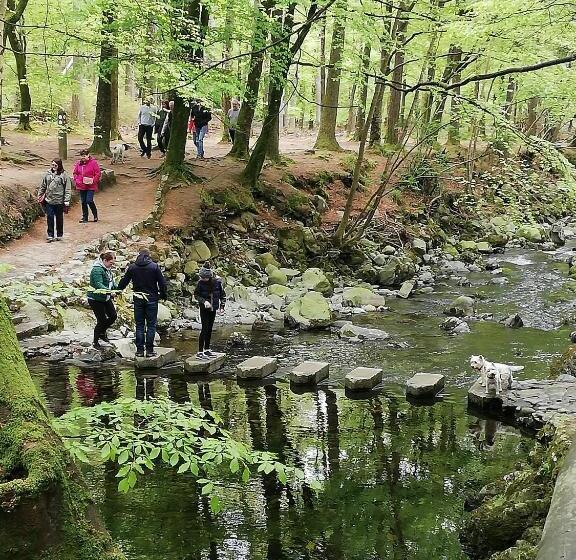 Forest Path Luxury Studio Apartment With Large Bedroom Bathroom And Sauna Sleeps Up To 4