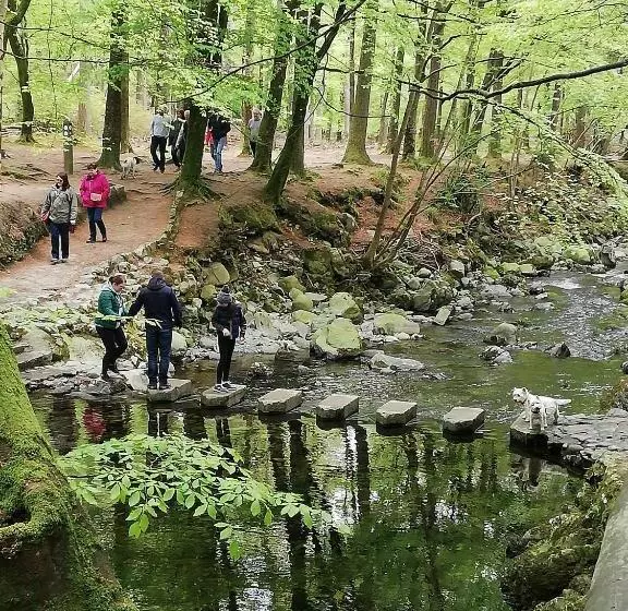 Forest Path Luxury Studio Apartment With Large Bedroom Bathroom And Sauna Sleeps Up To 4