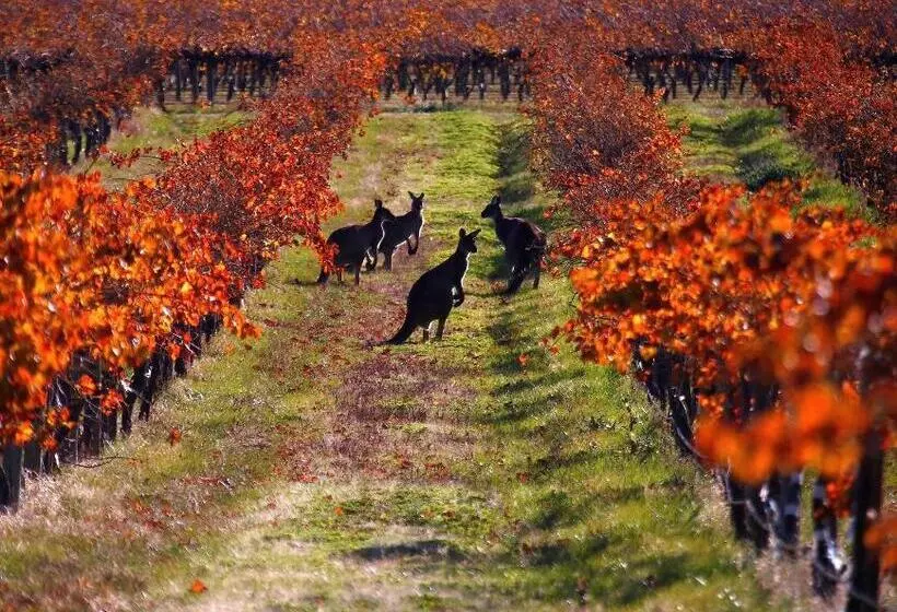 Majatalo Fechner Place Barossa, 1 Bed, 1 Bath & Wine