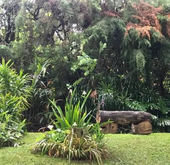 Majatalo Pinheiros Do Rocio