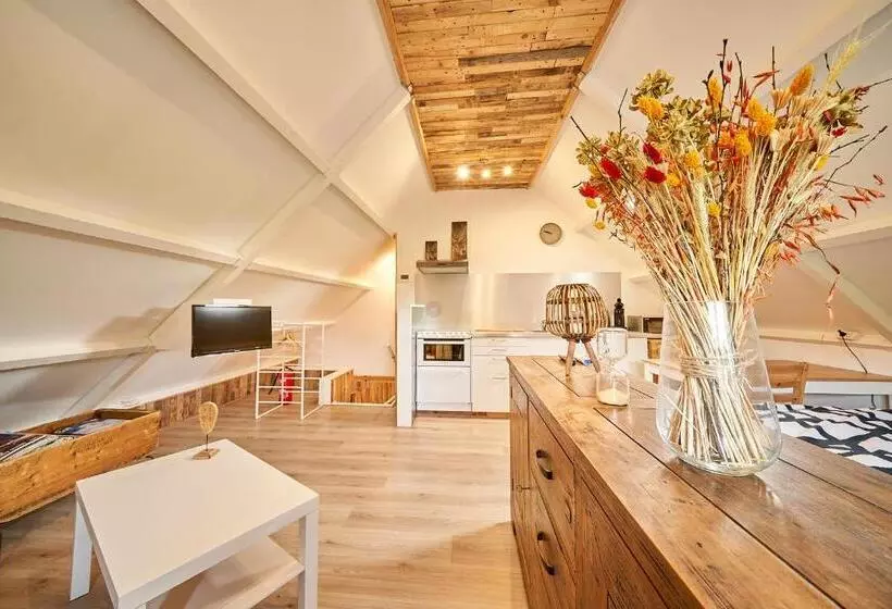 ベッドアンドブレックファースト B B Huize Hooijer