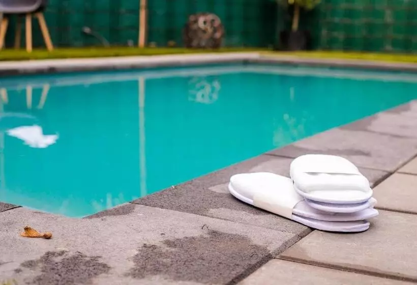 ベッドアンドブレックファースト B B Huize Hooijer