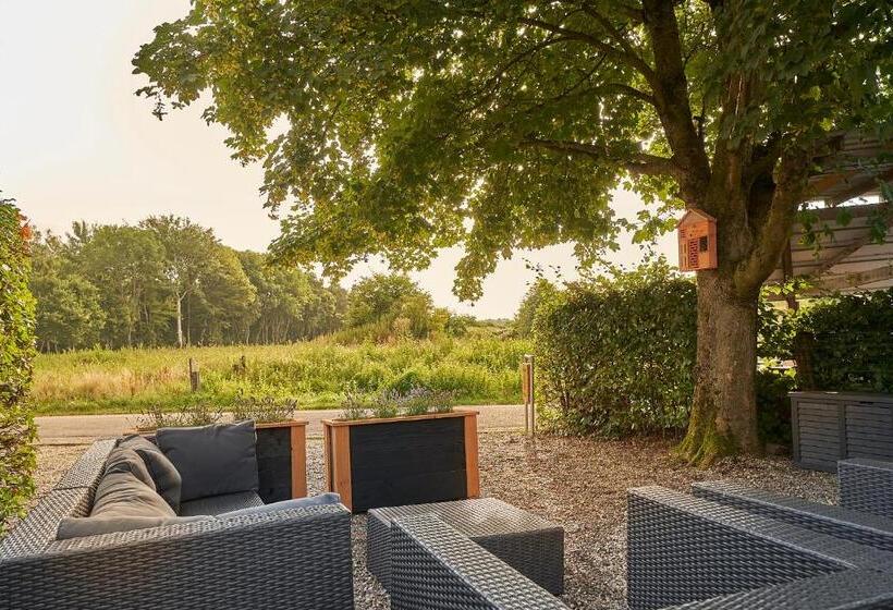 צימר B B Huize Hooijer