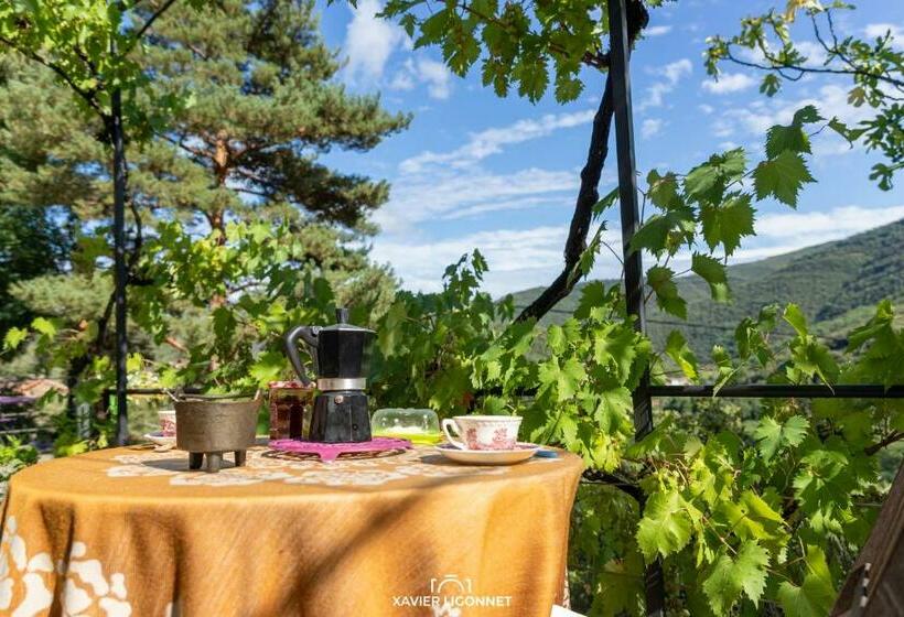 住宿加早餐 Le Petit Paradis