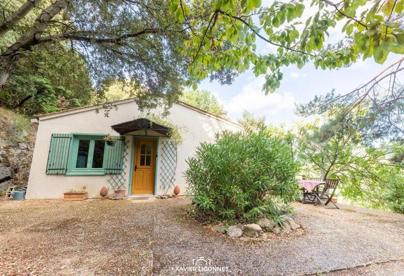 住宿加早餐 Le Petit Paradis