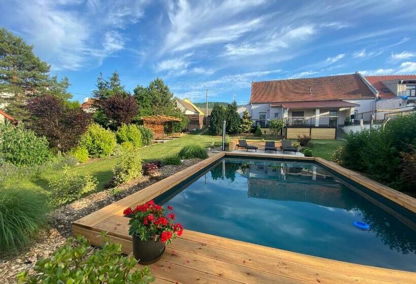 بنسيون Dobrýbydlo