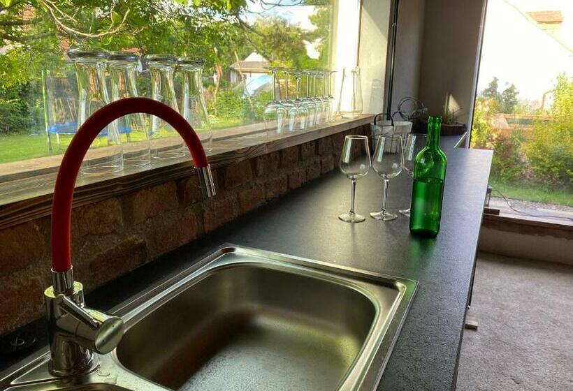 بنسيون Dobrýbydlo