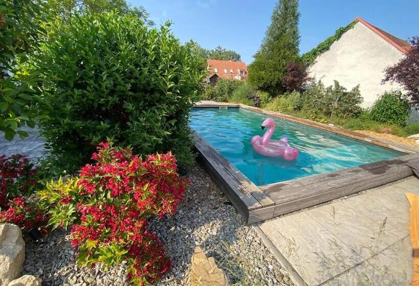 بنسيون Dobrýbydlo