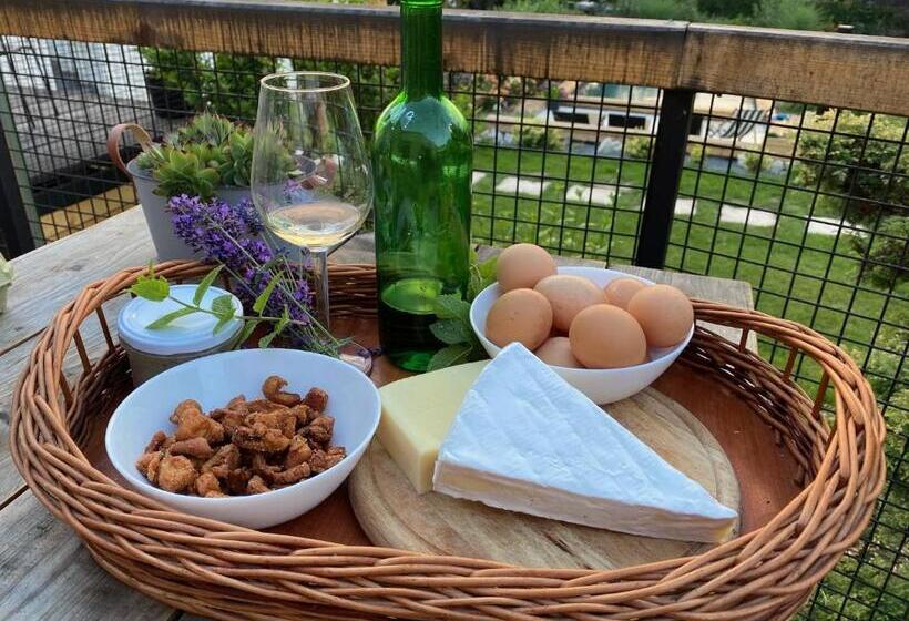 بنسيون Dobrýbydlo