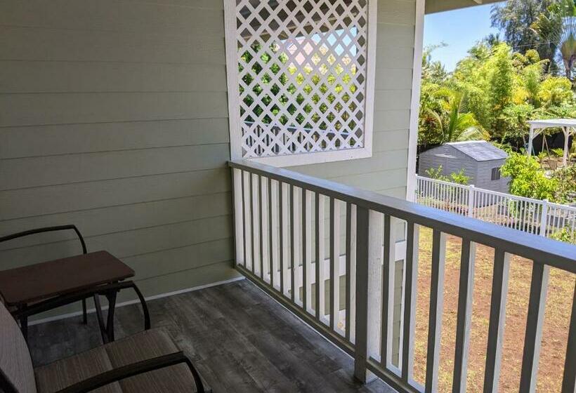 הוסטל Ocean Breeze Inn