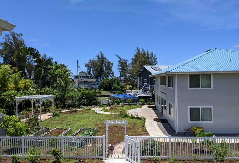 הוסטל Ocean Breeze Inn