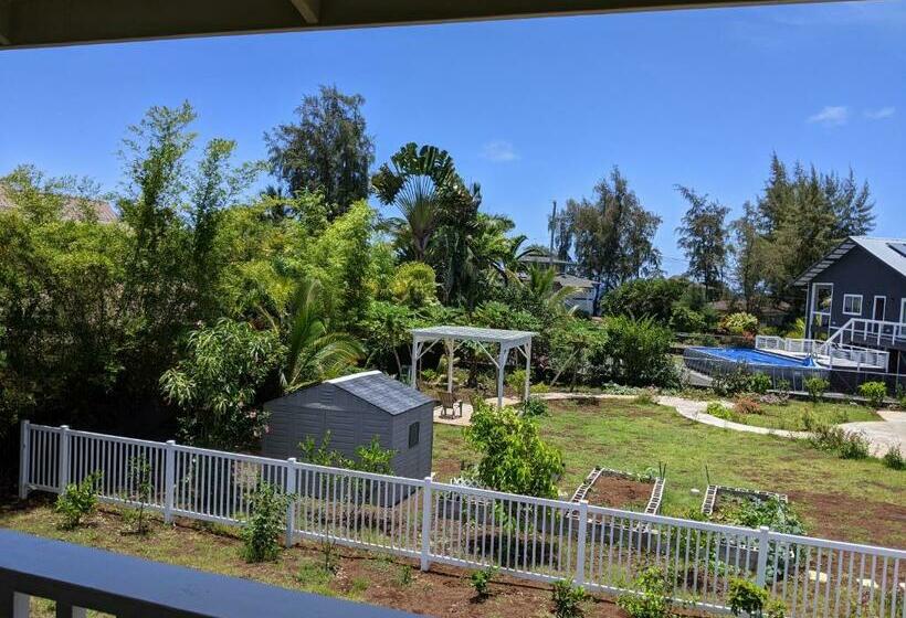 הוסטל Ocean Breeze Inn