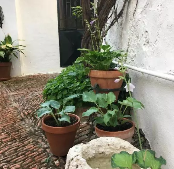 Aamiaismajoitus (B&B) Casa San Roque