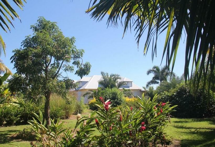 تختخواب و صبحانه Domaine Des Oiseaux Réunion