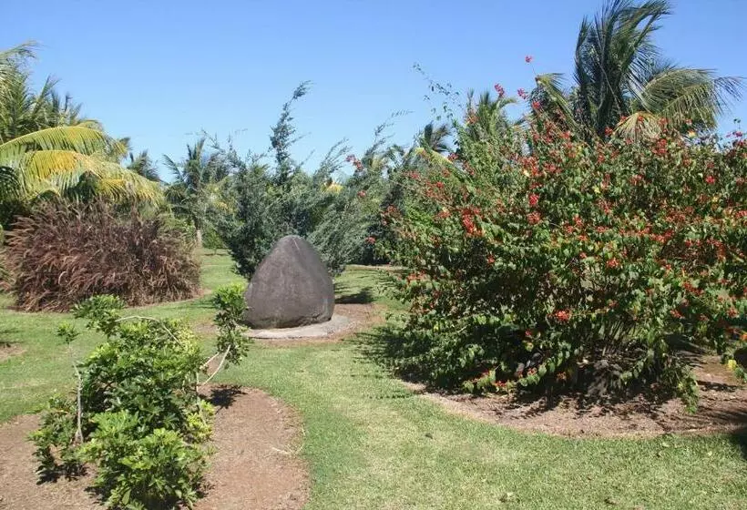 تختخواب و صبحانه Domaine Des Oiseaux Réunion