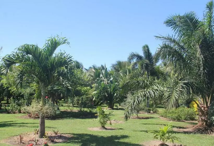 تختخواب و صبحانه Domaine Des Oiseaux Réunion