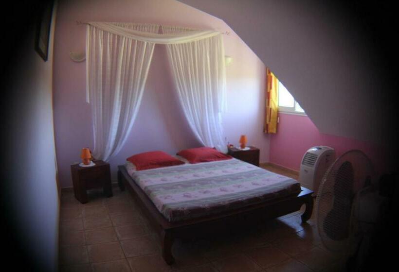 تختخواب و صبحانه Domaine Des Oiseaux Réunion