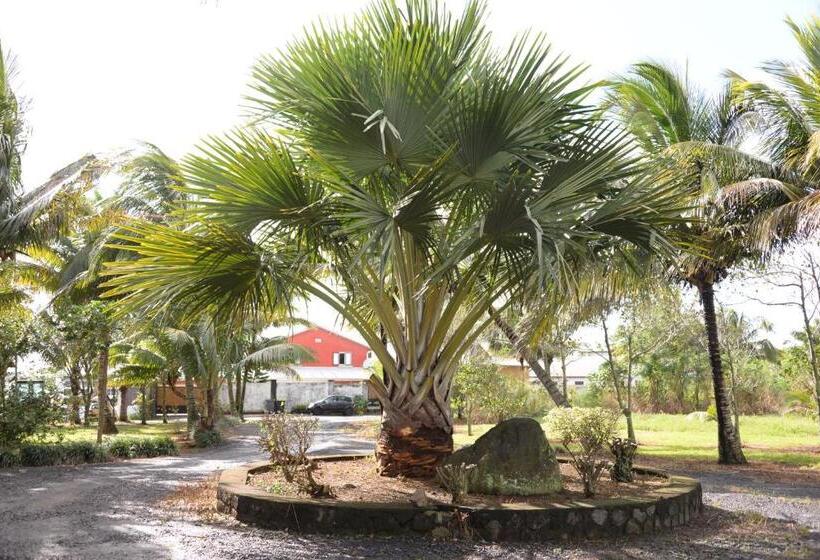 تختخواب و صبحانه Domaine Des Oiseaux Réunion