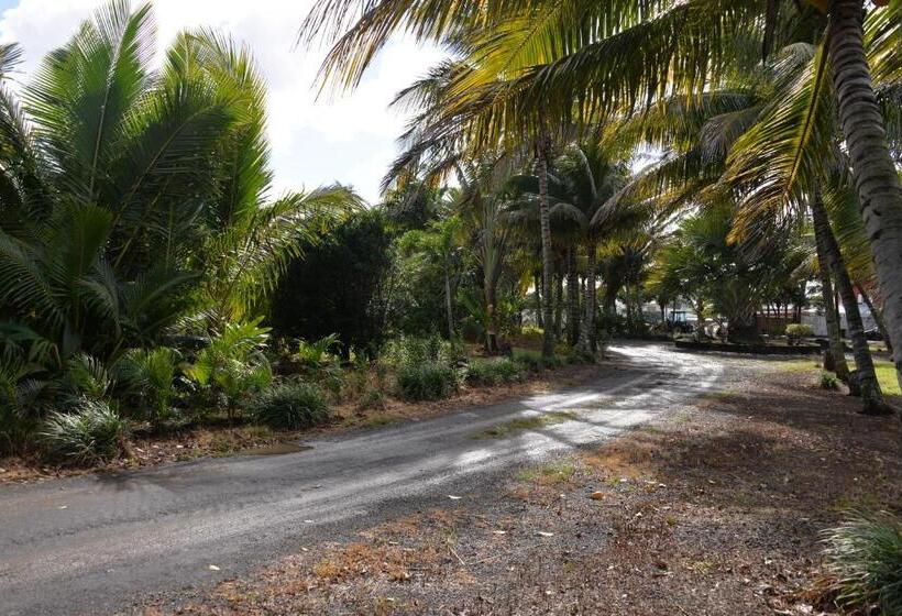 تختخواب و صبحانه Domaine Des Oiseaux Réunion