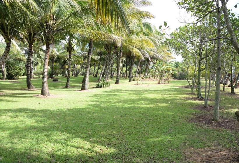 تختخواب و صبحانه Domaine Des Oiseaux Réunion