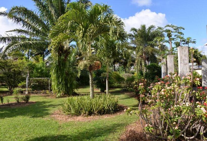 تختخواب و صبحانه Domaine Des Oiseaux Réunion