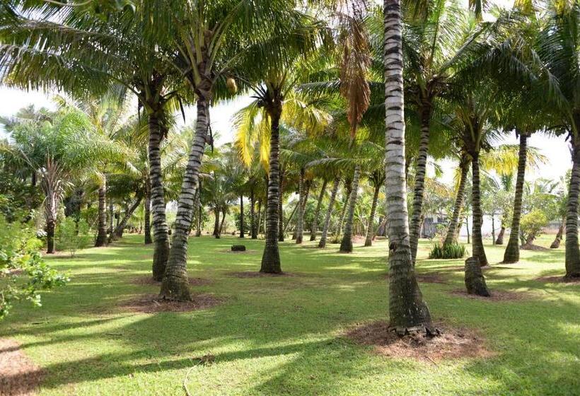 تختخواب و صبحانه Domaine Des Oiseaux Réunion