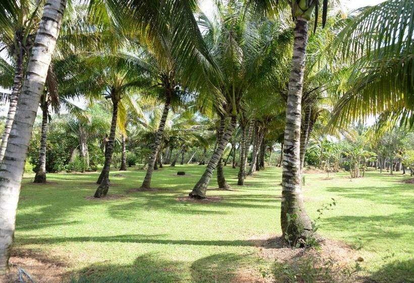 تختخواب و صبحانه Domaine Des Oiseaux Réunion