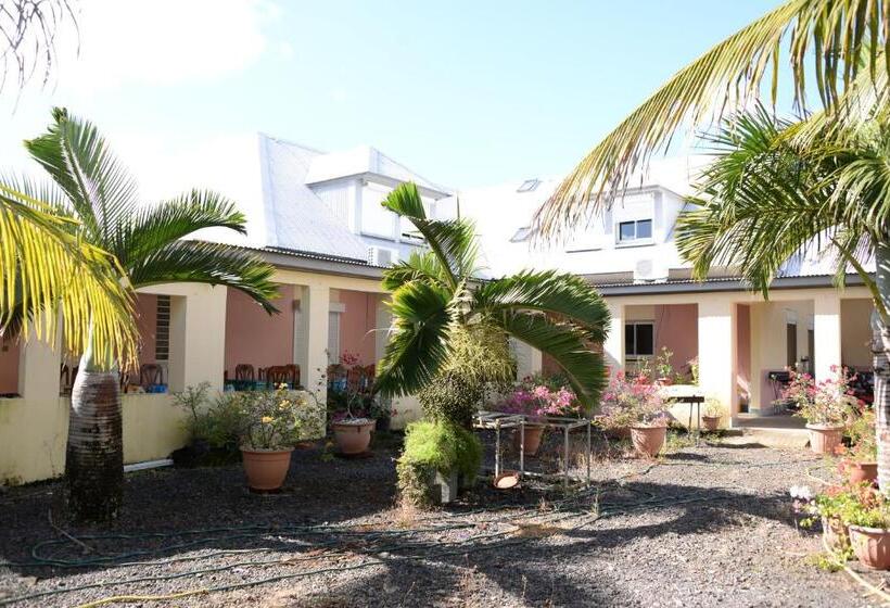 تختخواب و صبحانه Domaine Des Oiseaux Réunion