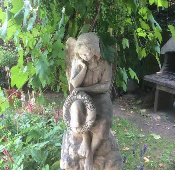 Bed and Breakfast Chambre D Hôte L Amarante