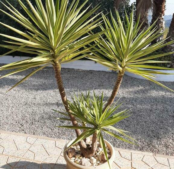 Bed and Breakfast La Dolce Vita