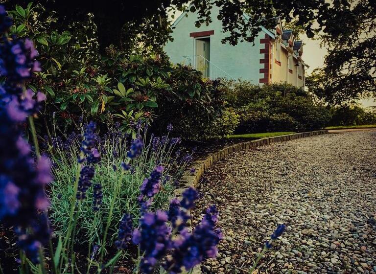 Bed and Breakfast The Ghillie