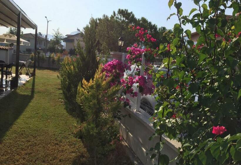 בית מלון כפרי Vespera