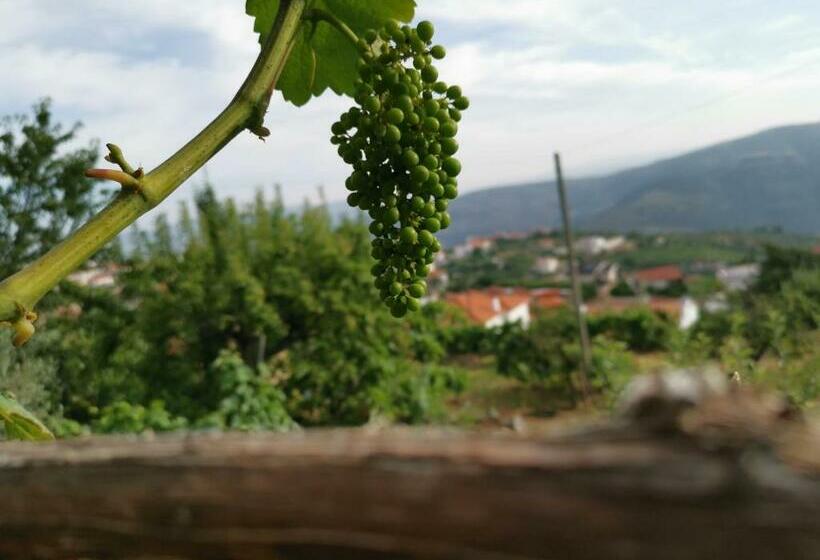 פנסיון Casa Da Quinta