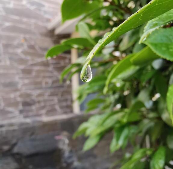 פנסיון Casa Da Quinta