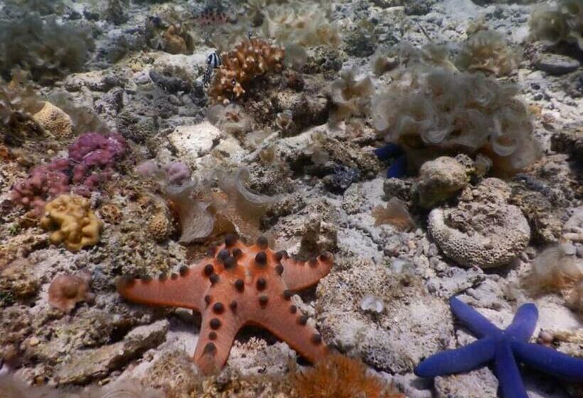 פנסיון Sambag Hideaway Bungalows