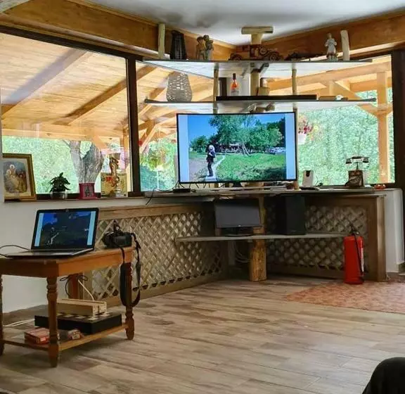 Pensiunea Turistica Valea Mierii