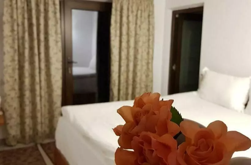 Pensiunea Turistica Valea Mierii