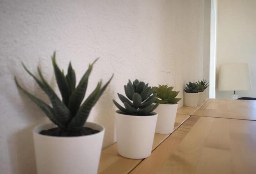 تختخواب و صبحانه Chafbius