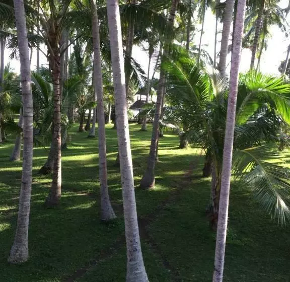 ベッドアンドブレックファースト Ida S Homestay