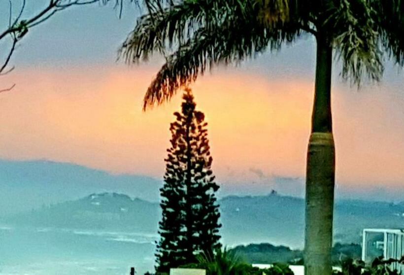 צימר Lucky Fishes