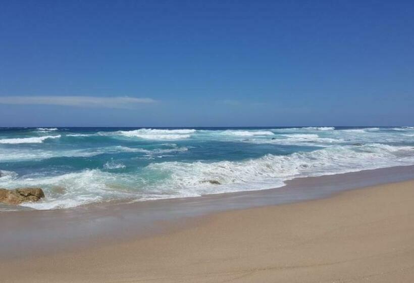 צימר Lucky Fishes