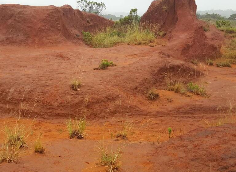 צימר Lucky Fishes