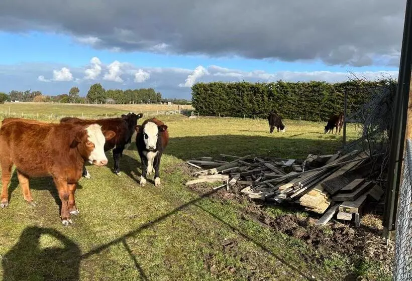 Aamiaismajoitus (B&B) Ra Ata Farm