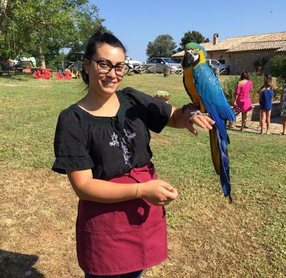 בית מלון כפרי Cerqueti Agriturismo