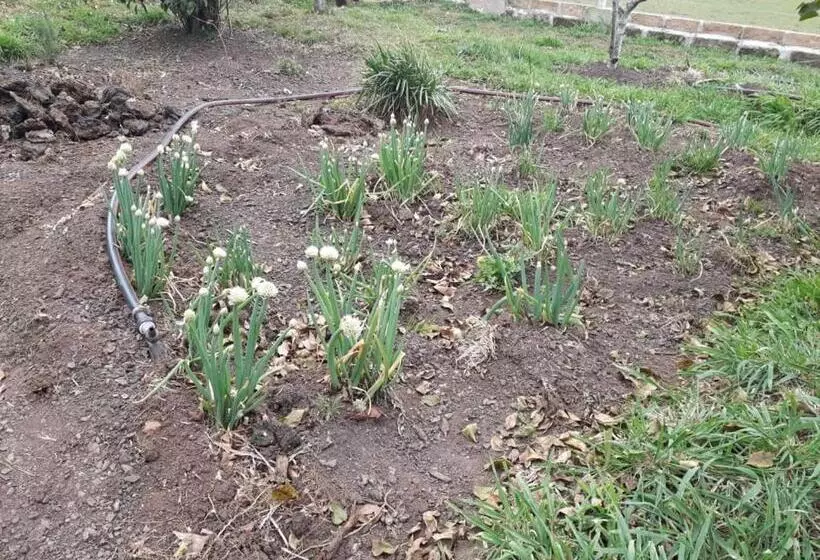 ホテル Pousada Rural Colina Do Sol